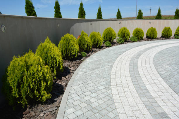 Best Custom Driveway Pavers  in Oak Grove, LA
